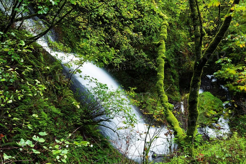 Shepperd's Dell Falls