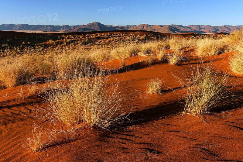 Southern foothills of the Namib desert