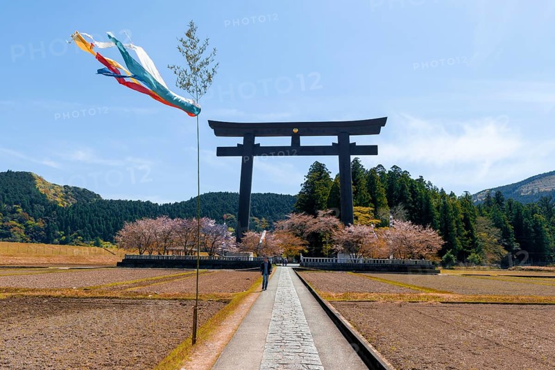 Largest Torii in the world