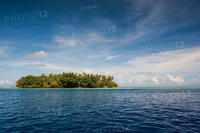 Islet in the Ant Atoll