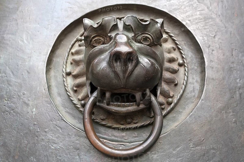 Door knocker with a lion's head