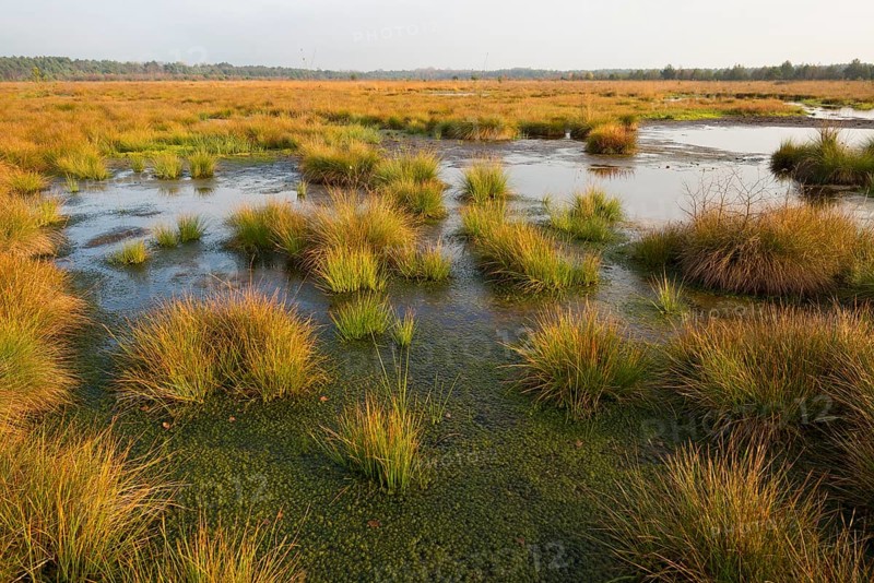 Moorlands