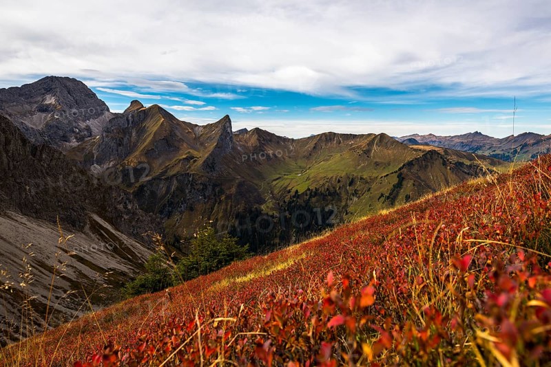 Autumn meadow with mountains of Vorarlberg