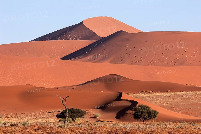 Sand dunes