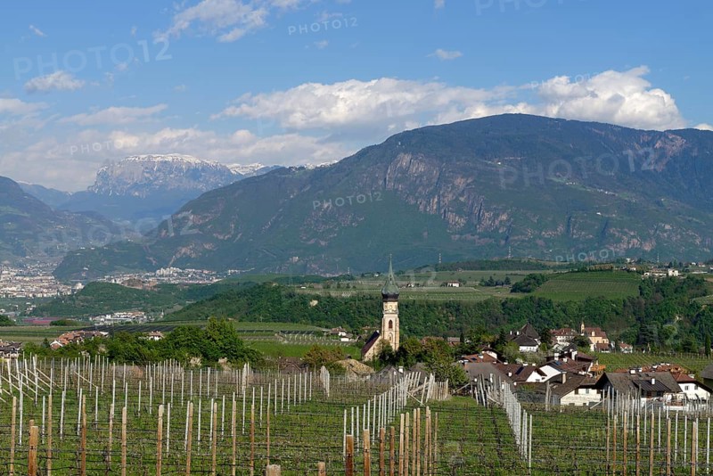 Wine growing