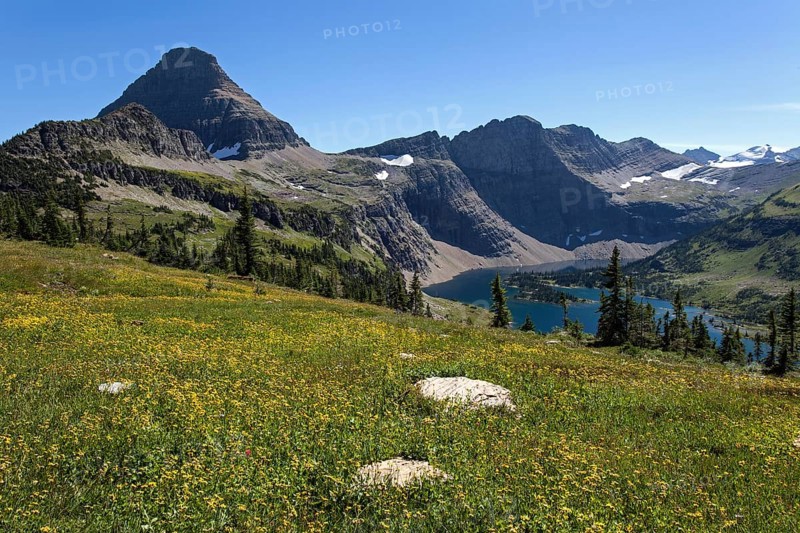 Hidden Lake with Reynolds Mountains