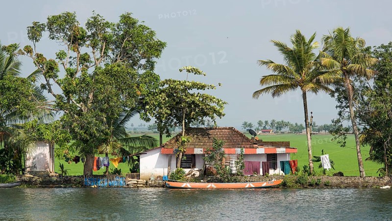 Houses and trees