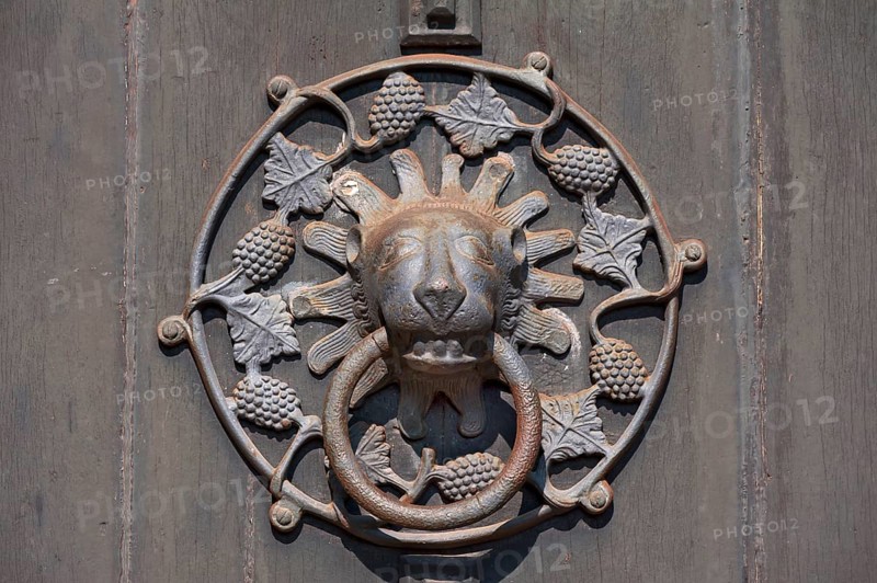 Lion head door knocker