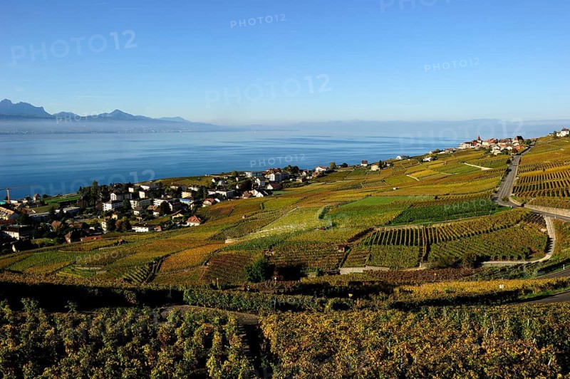 The vineyards of Lavaux on Lake Geneva