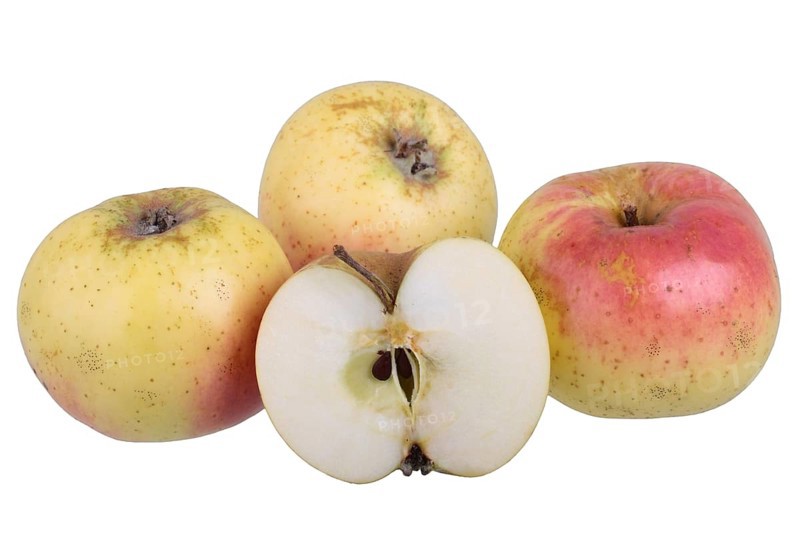 Apple variety Weilburger
