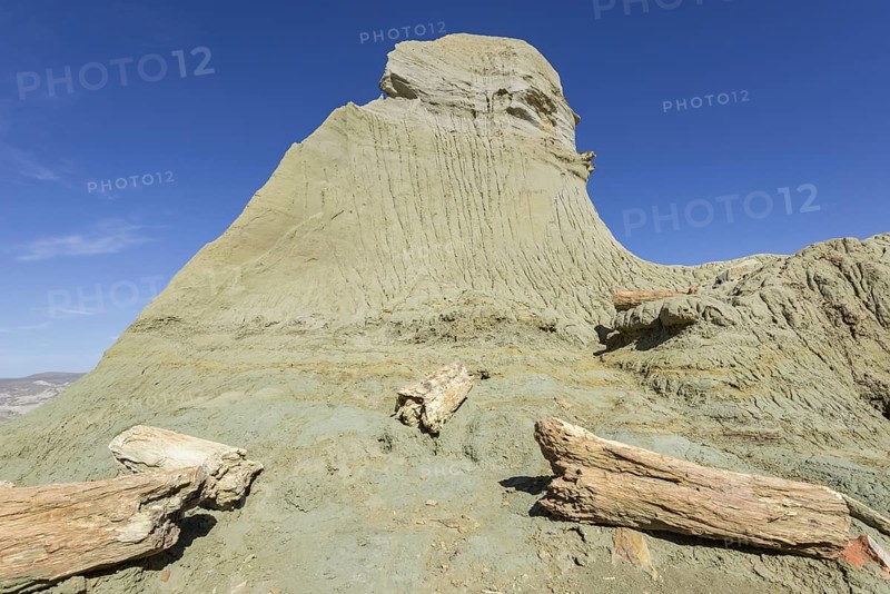 Petrified forest Bosque Petrificado National Monument