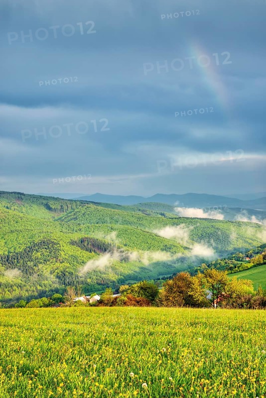 Landscape