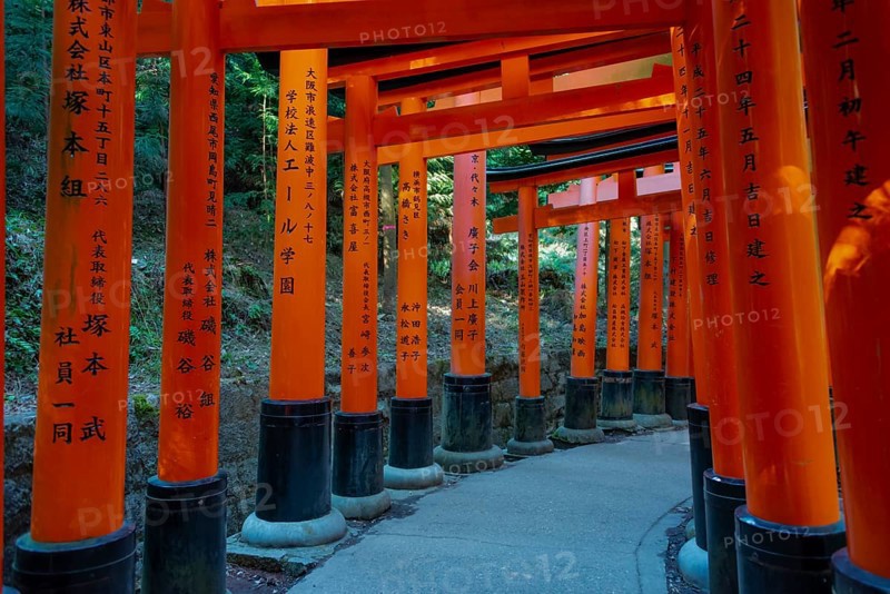 Fushimi Inari Taisha