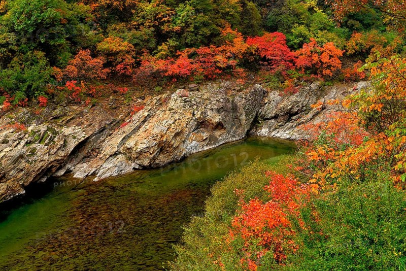 Black River in autumn landscape