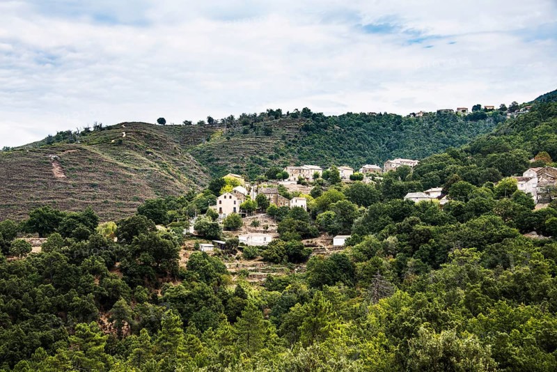 Small mountain village in the forest