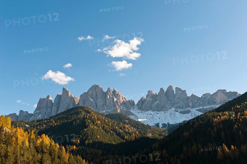 Mountain forest in autumn