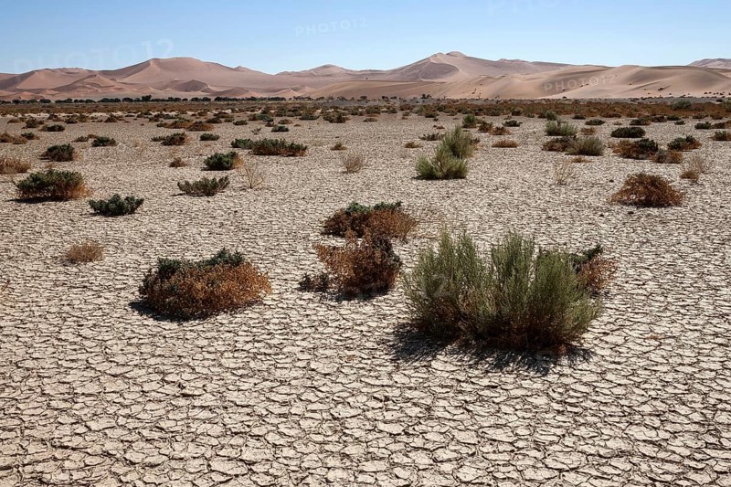 Sand dunes