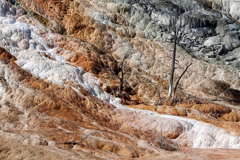 Limestone sinter terraces