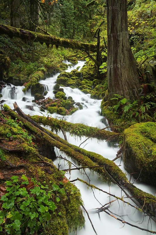 Fairy Falls