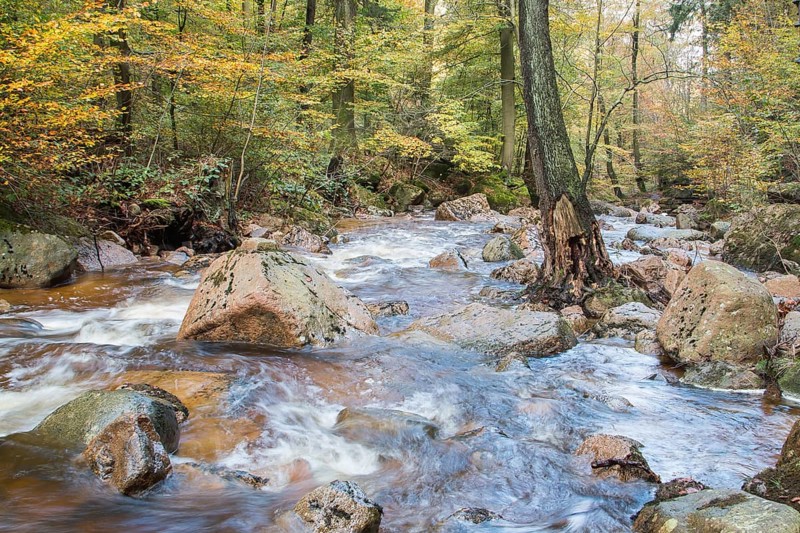 Ilsetal valley in autumn