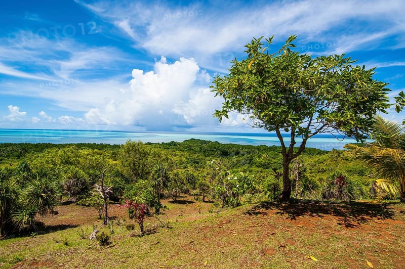 Overlooking the island
