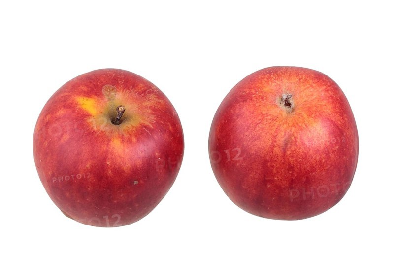 Apple variety Geheimrat Dr. Oldenburg