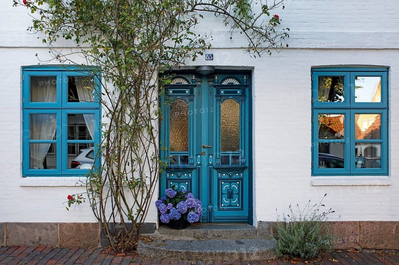 Historical house with decorative wooden door