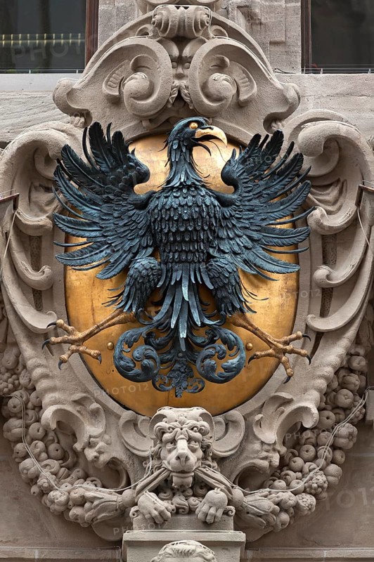 Imperial eagle