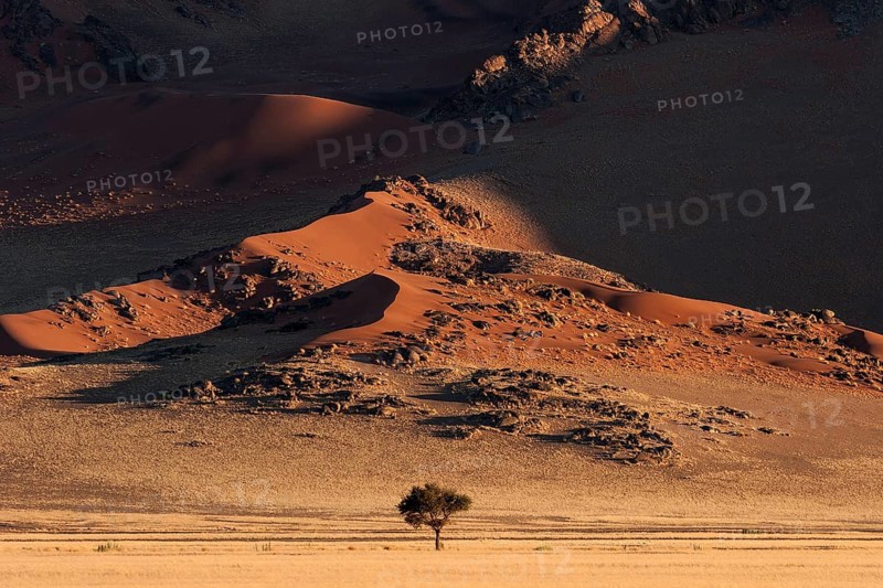 Sand dunes