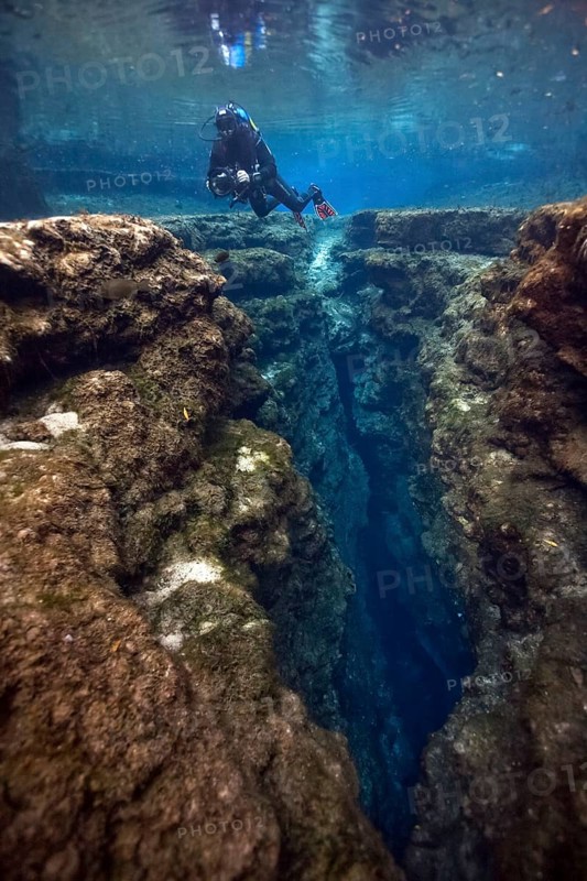 Diver at Little Devil in Santa Fe River