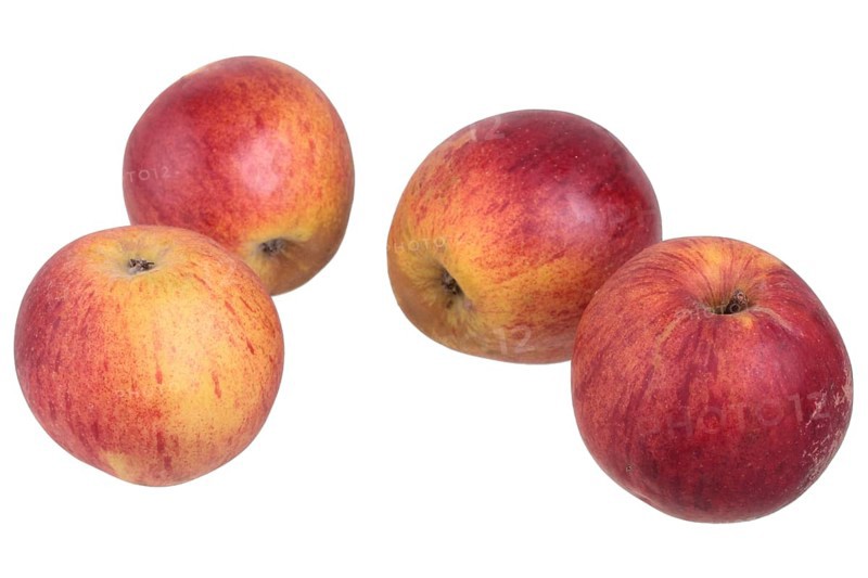 Apple variety Dorheimer Streifling