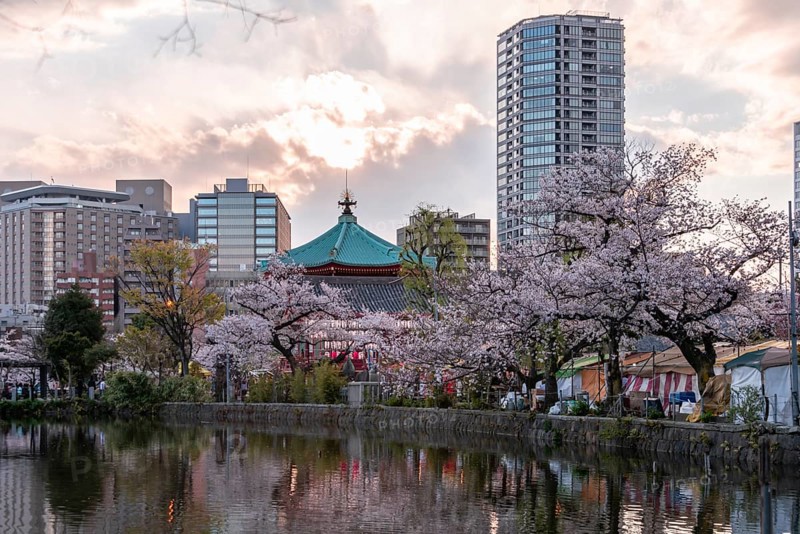 Shinobazunoike Bentendo Temple at Shinobazu Pond