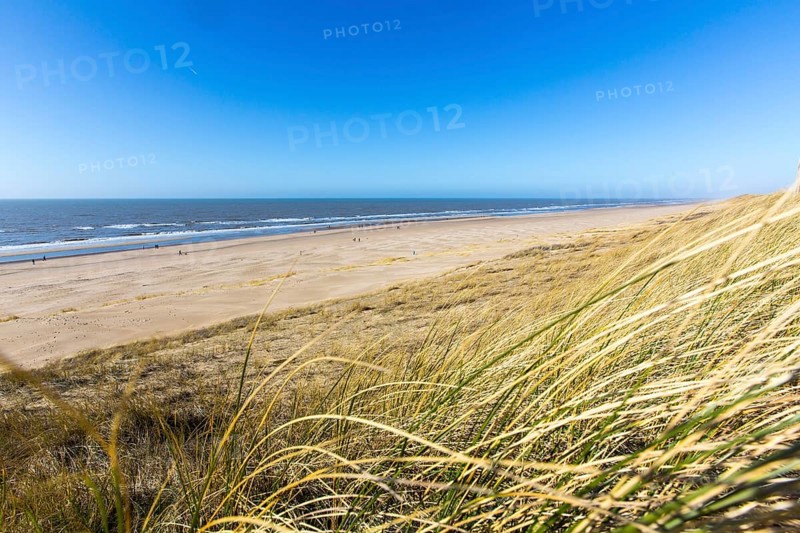 North Holland's coast at Egmond aan Zee