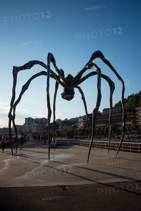 Spider sculpture Maman by Louise Bourgeois