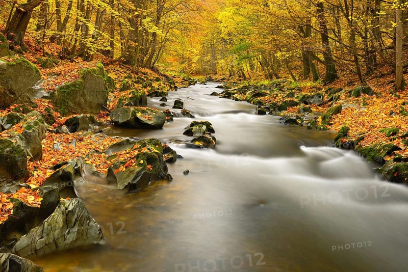 Schwarza River in the autumn