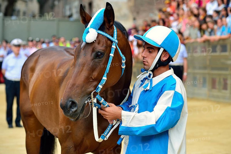 Jockey and horse of the Contrada of the Wave