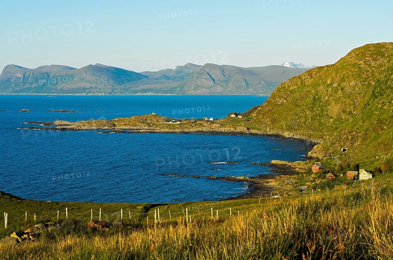 Coastline with coves