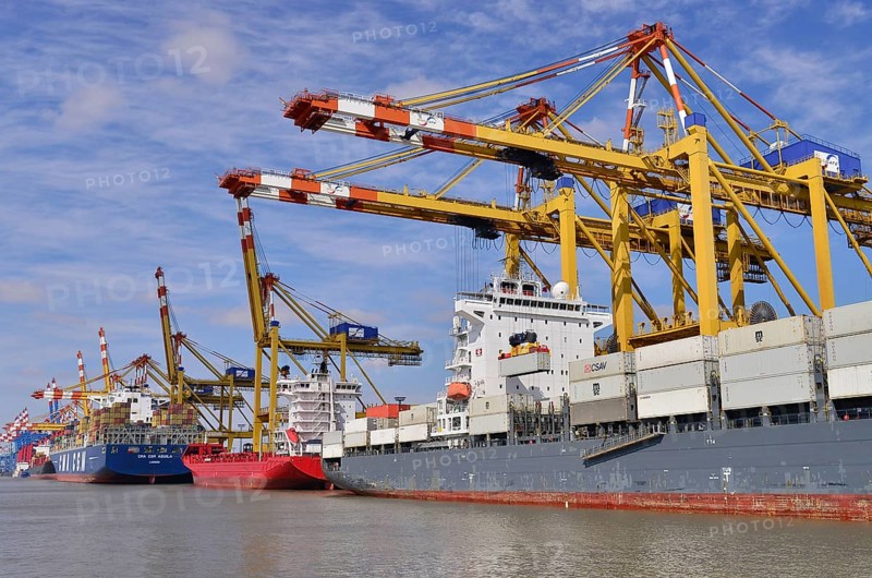 Container ships and gantry cranes