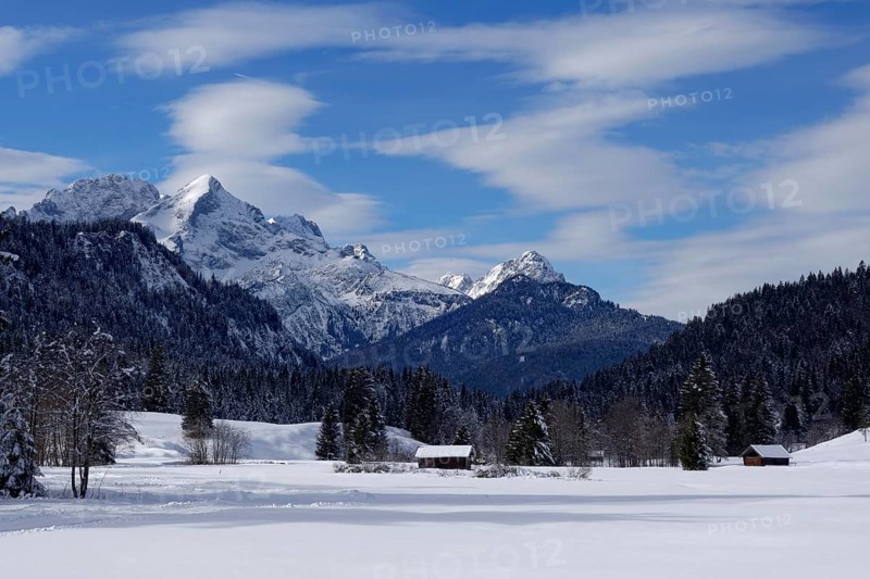 Winter landscape