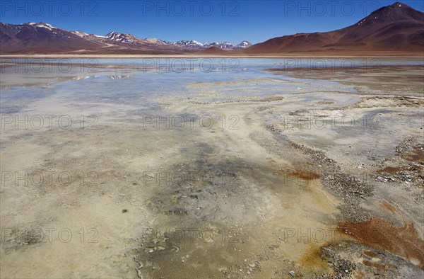Laguna Blanca