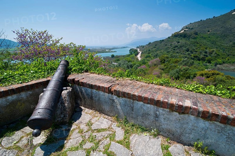 Cannon