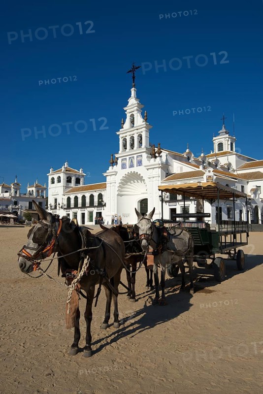 Coach at the square