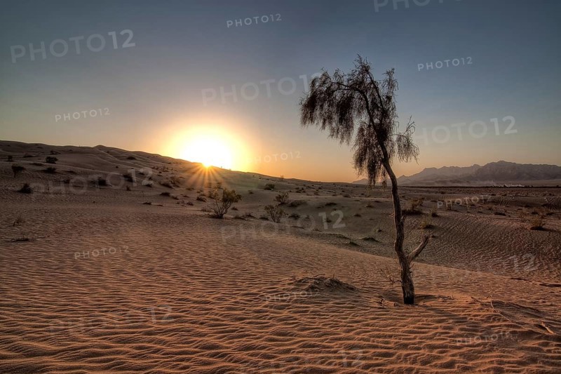 Dasht-e Kavir or Great Salt Desert