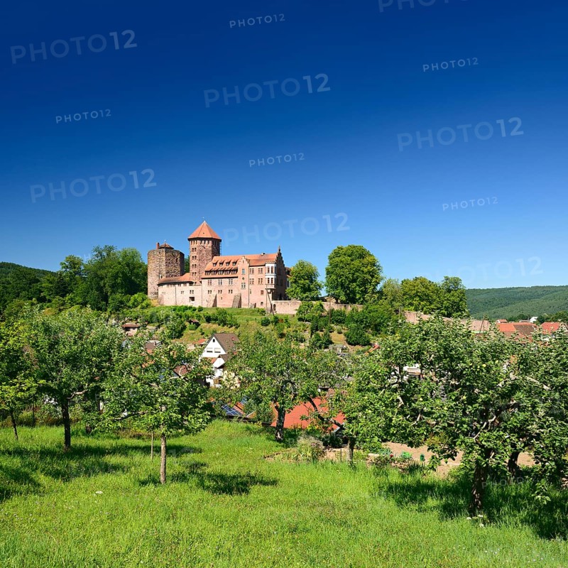 Orchard vis-a-vis Burg Rieneck Castle in Sinntal Valley