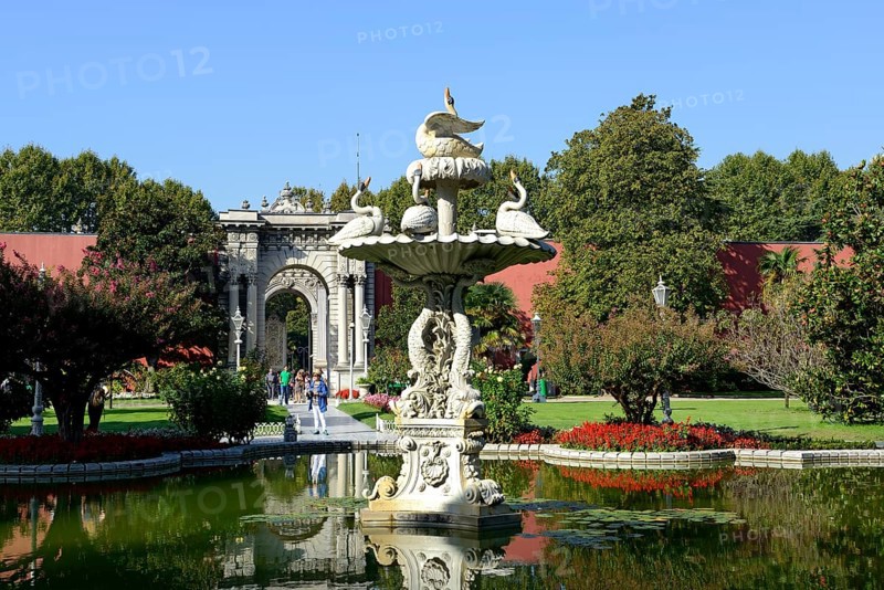 Swan Fountain