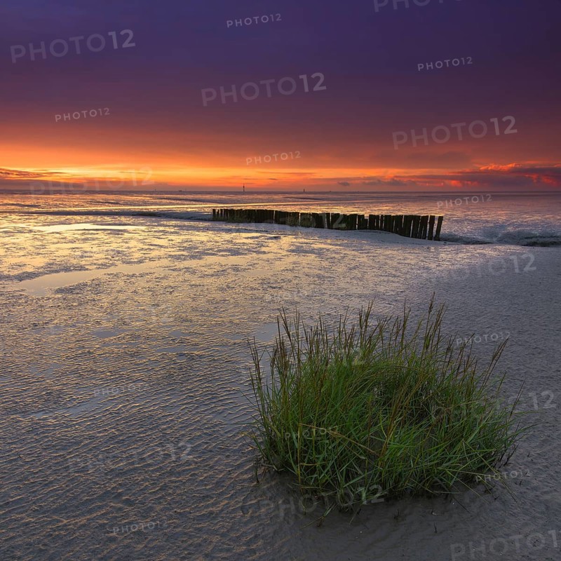 The Wadden and behind the remains of a jetty