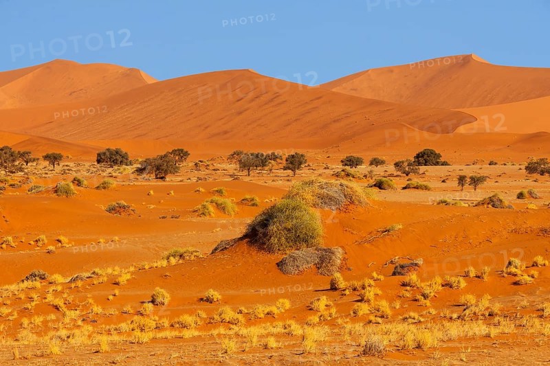 Sand dunes