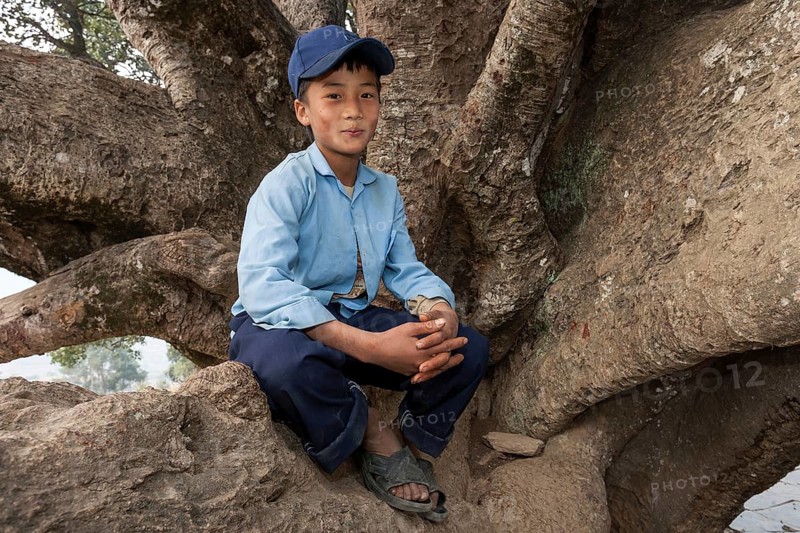 Nepalese student wearing a school uniform sitting on a tree