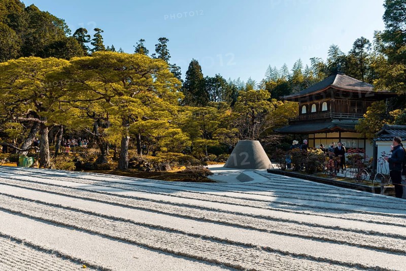 Rock garden