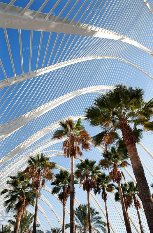 L'Umbracle Palm Garden